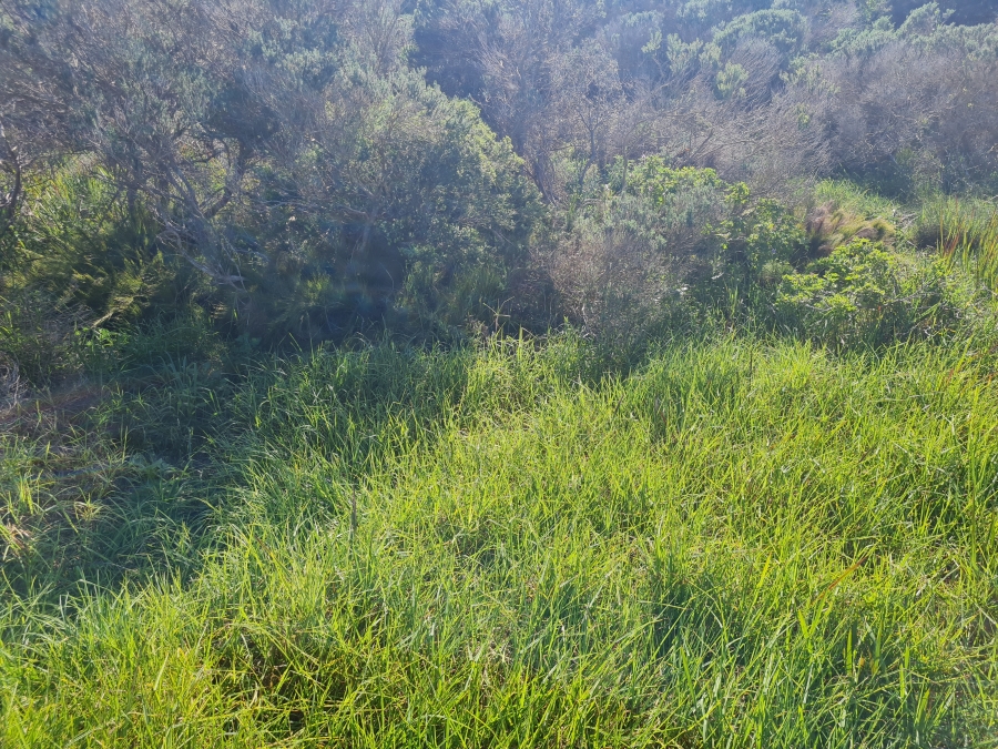 0 Bedroom Property for Sale in Paradise Beach Eastern Cape
